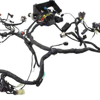 2016 - 2019 DUCATI PANIGALE 959 MAIN HARNESS ENGINE WIRE LOOM ELECTRICAL