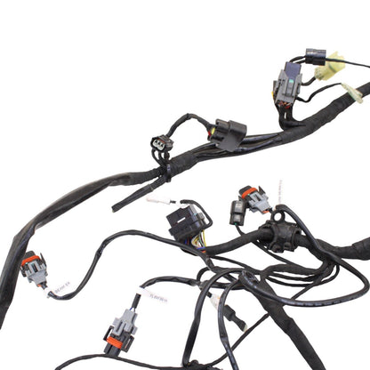 2016 - 2019 DUCATI PANIGALE 959 MAIN HARNESS ENGINE WIRE LOOM ELECTRICAL