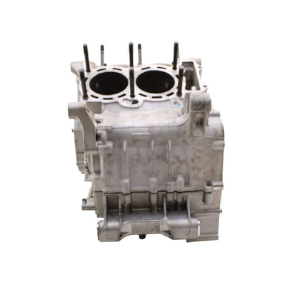 2010 - 2014 APRILIA RSV4 CRANKCASE SET ENGINE MOTOR CRANK CASES BLOCK SILVER