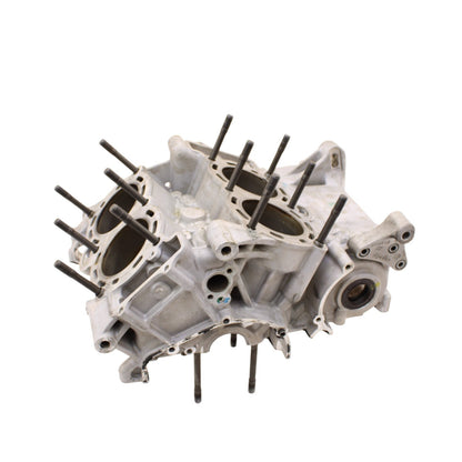 2010 - 2014 APRILIA RSV4 CRANKCASE SET ENGINE MOTOR CRANK CASES BLOCK SILVER