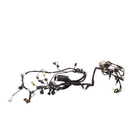 2018 - 2024 DUCATI PANIGALE V4 MAIN HARNESS WIRING WIRES ELECTRICAL NO CUTS
