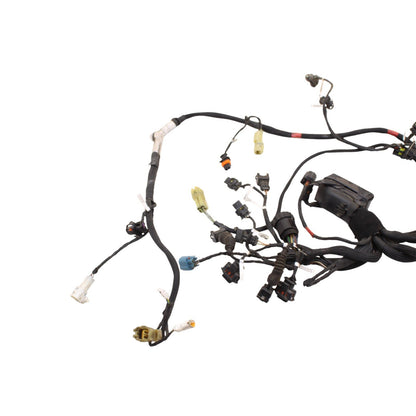 2018 - 2024 DUCATI PANIGALE V4 MAIN HARNESS WIRING WIRES ELECTRICAL NO CUTS
