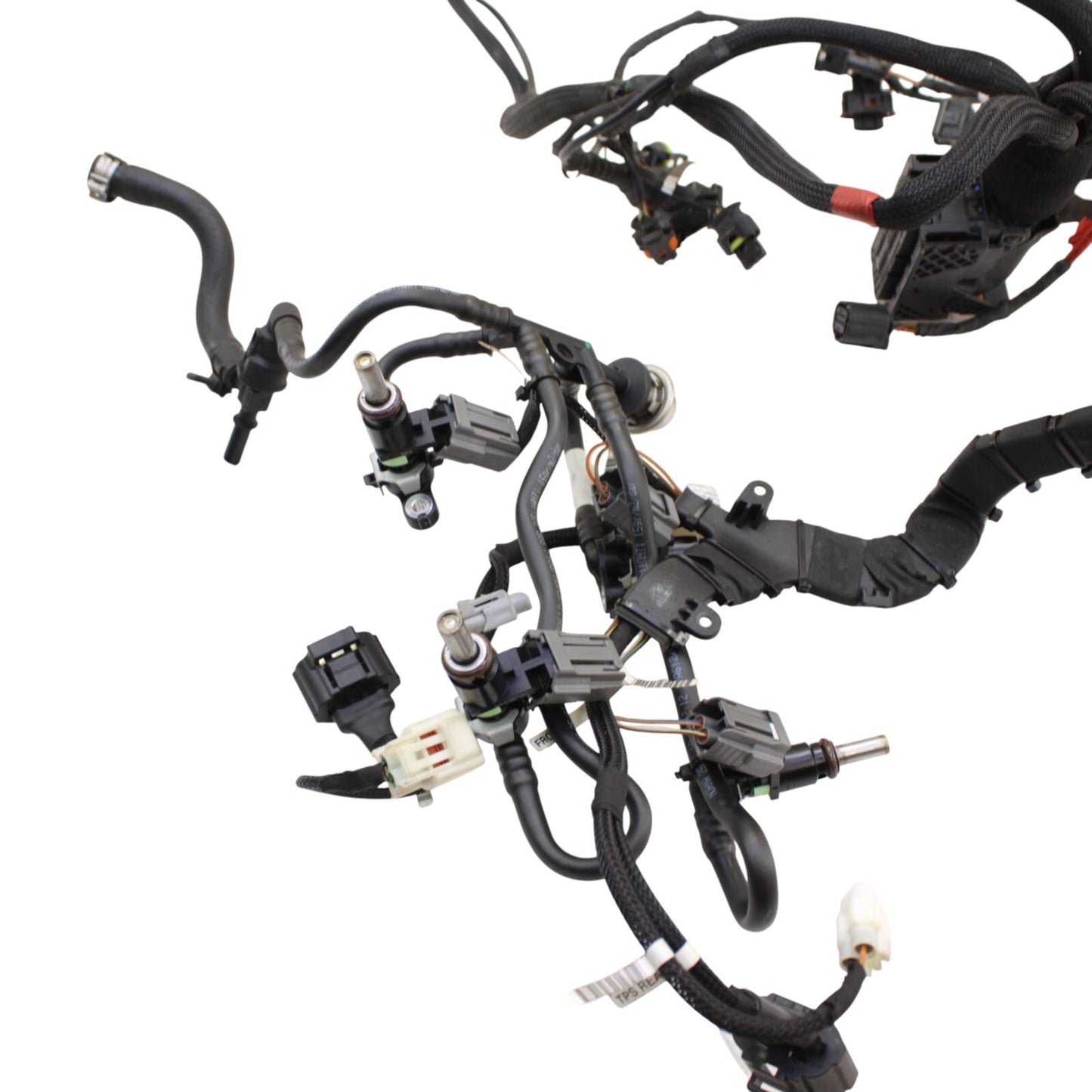 2018 - 2024 DUCATI PANIGALE V4 MAIN HARNESS WIRING WIRES ELECTRICAL NO CUTS