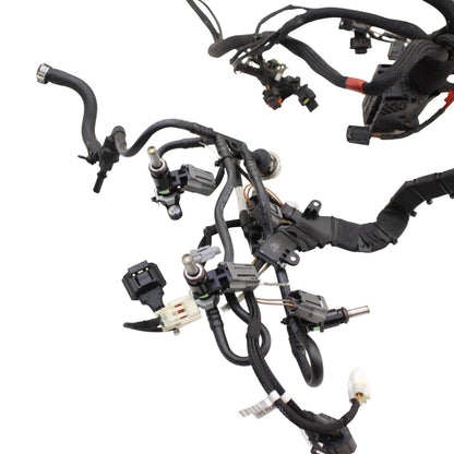 2018 - 2024 DUCATI PANIGALE V4 MAIN HARNESS WIRING WIRES ELECTRICAL NO CUTS