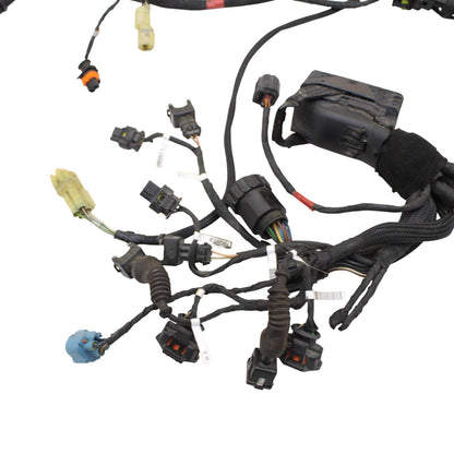 2018 - 2024 DUCATI PANIGALE V4 MAIN HARNESS WIRING WIRES ELECTRICAL NO CUTS