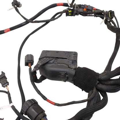 2018 - 2024 DUCATI PANIGALE V4 MAIN HARNESS WIRING WIRES ELECTRICAL NO CUTS