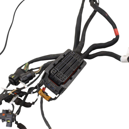 2018 - 2024 DUCATI PANIGALE V4 MAIN HARNESS WIRING WIRES ELECTRICAL NO CUTS