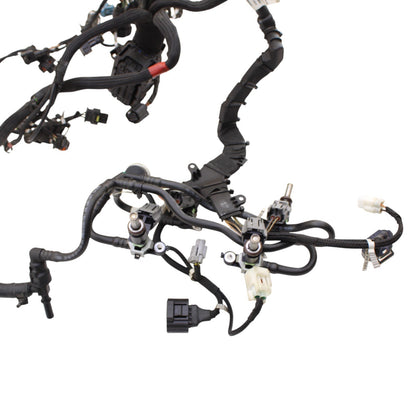 2018 - 2024 DUCATI PANIGALE V4 MAIN HARNESS WIRING WIRES ELECTRICAL NO CUTS