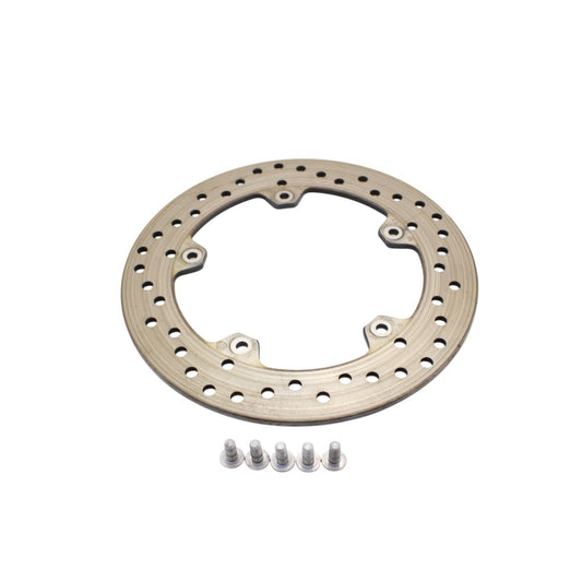 2020 - 2024 BMW S1000RR REAR BRAKE ROTOR BACK DISC BOLTS STOCK SILVER