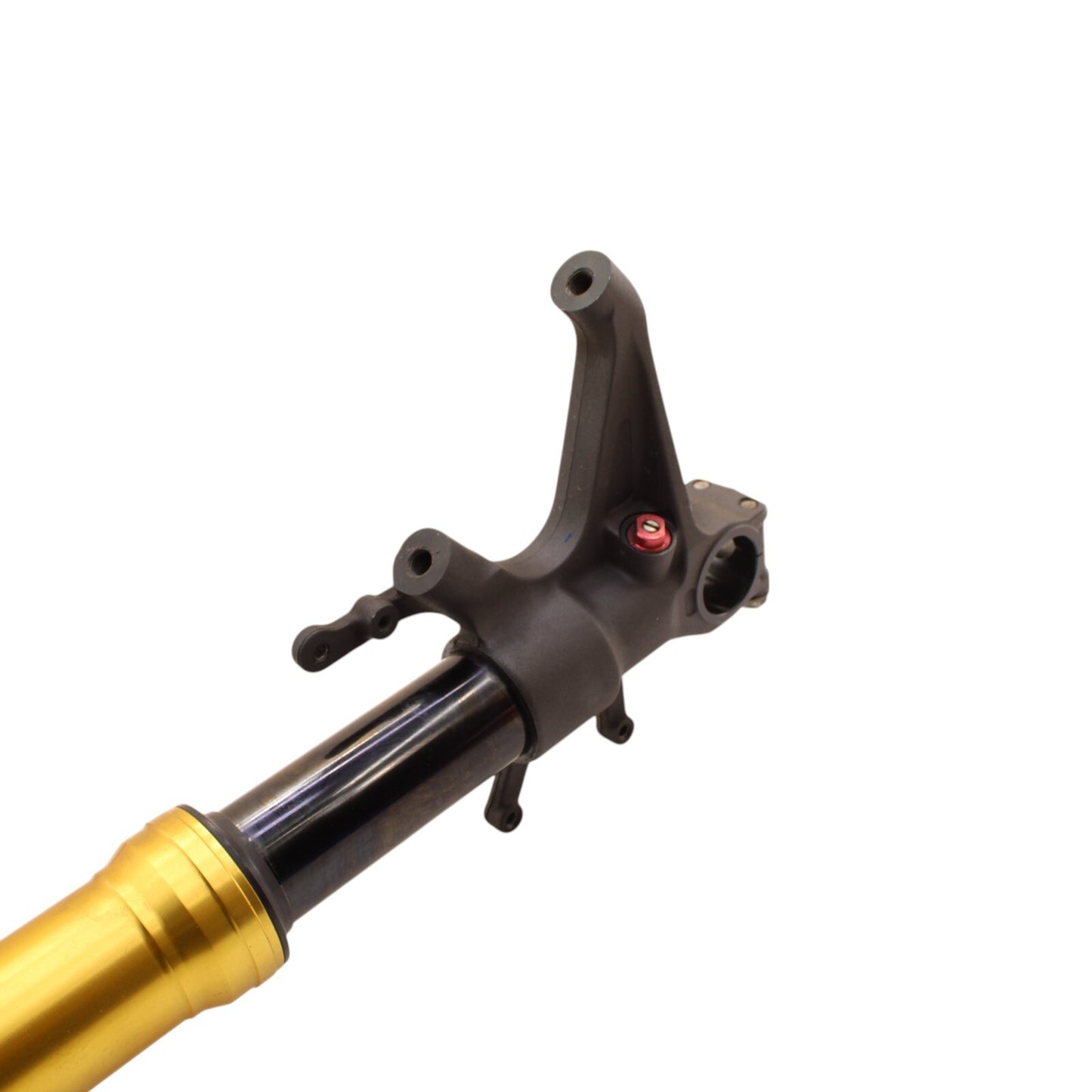 2003 2004 SUZUKI GSXR1000 FORKS FRONT SUSPENSION SHOCK GOLD SET PAIR STRAIGHT