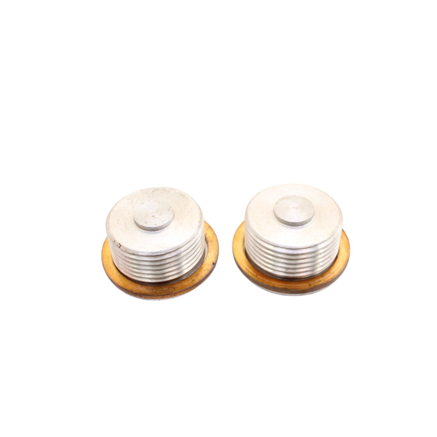 2020 - 2025 DUCATI PANIGALE V2 ENGINE MOTOR SCREW ALTERNATOR COVER NUT