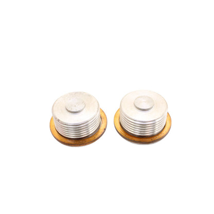 2020 - 2025 DUCATI PANIGALE V2 ENGINE MOTOR SCREW ALTERNATOR COVER NUT