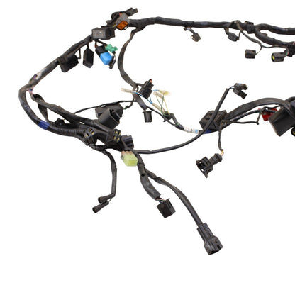 2009 - 2012 TRIUMPH DAYTONA 675R 675 MAIN WIRE HARNESS LOOM ELECTRICAL WIRING
