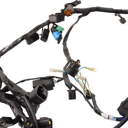 2009 - 2012 TRIUMPH DAYTONA 675R 675 MAIN WIRE HARNESS LOOM ELECTRICAL WIRING
