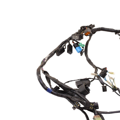 2009 - 2012 TRIUMPH DAYTONA 675R 675 MAIN WIRE HARNESS LOOM ELECTRICAL WIRING