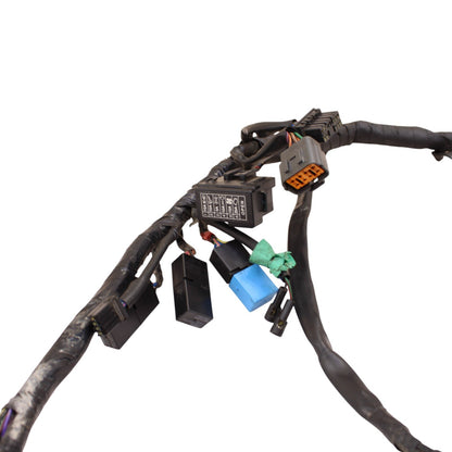 2009 - 2012 TRIUMPH DAYTONA 675R 675 MAIN WIRE HARNESS LOOM ELECTRICAL WIRING