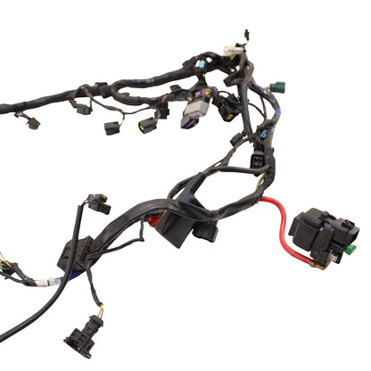 2009 - 2012 TRIUMPH DAYTONA 675R 675 MAIN WIRE HARNESS LOOM ELECTRICAL WIRING