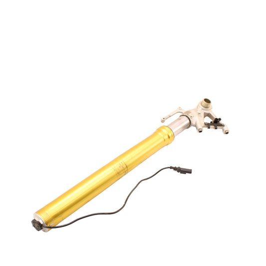 2015 - 2019 BMW S1000R FRONT LEFT FORK SUSPENSION DAMAGED/SCUFFED SLIGHTLY BENT