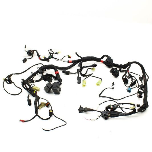 2017 - 2019 DUCATI Supersport 939 MAIN ENGINE WIRING HARNESS ELECTRICAL WIRES