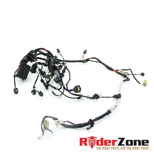 2021 DUCATI PANIGALE V4 ENGINE WIRING HARNESS MOTOR WIRE LOOM *NO CUTS*
