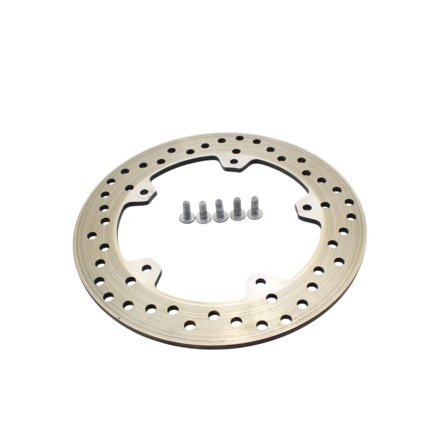 2020 - 2024 BMW S1000RR REAR BRAKE ROTOR DISC STRAIGHT RING BOLTS SCREWS STOCK