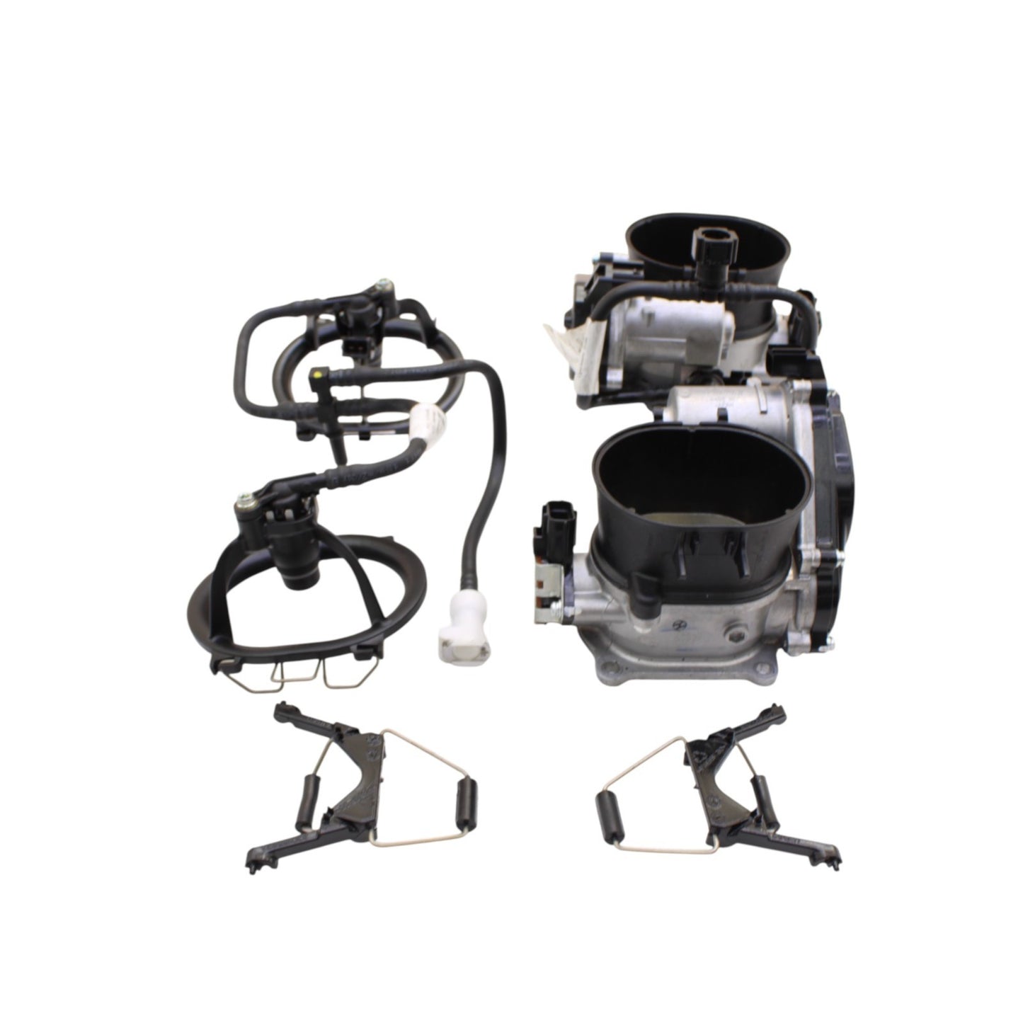 2020 - 2024 DUCATI PANIGALE V2 THROTTLE BODIES FUEL INJECTOR LINES HOSES STOCK