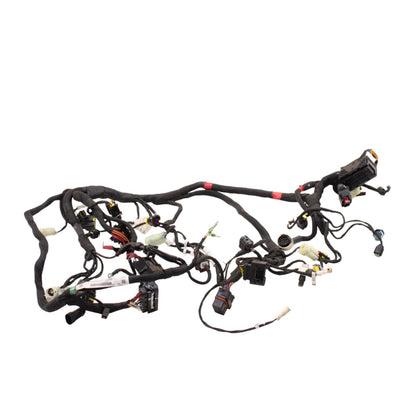 2020 - 2024 DUCATI PANIGALE V2 MAIN WIRING HARNESS ENGINE MOTOR WIRE LOOM