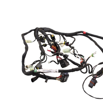 2020 - 2024 DUCATI PANIGALE V2 MAIN WIRING HARNESS ENGINE MOTOR WIRE LOOM