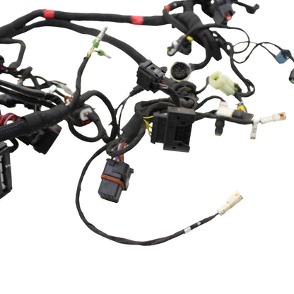 2020 - 2024 DUCATI PANIGALE V2 MAIN WIRING HARNESS ENGINE MOTOR WIRE LOOM