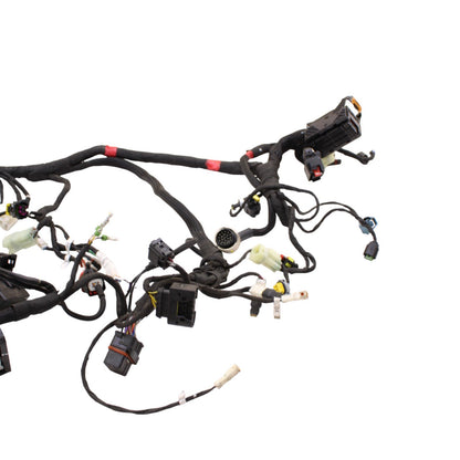 2020 - 2024 DUCATI PANIGALE V2 MAIN WIRING HARNESS ENGINE MOTOR WIRE LOOM
