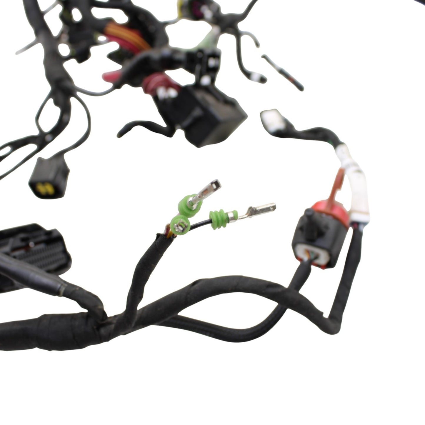 2020 - 2024 DUCATI PANIGALE V2 MAIN WIRING HARNESS ENGINE MOTOR WIRE LOOM