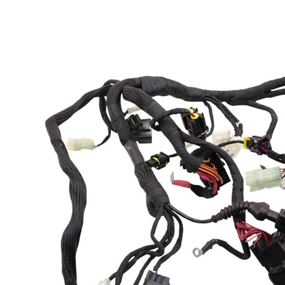 2020 - 2024 DUCATI PANIGALE V2 MAIN WIRING HARNESS ENGINE MOTOR WIRE LOOM