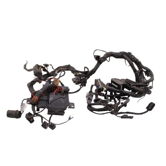 2010 - 2014 BMW S1000RR HP4 MAIN WIRING HARNESS WIRE LOOM ELECTRICAL STOCK