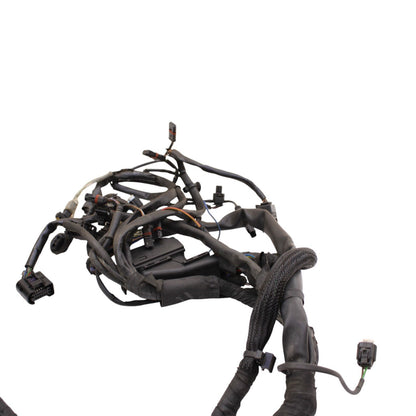2010 - 2014 BMW S1000RR HP4 MAIN WIRING HARNESS WIRE LOOM ELECTRICAL STOCK