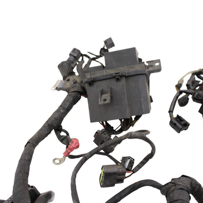 2010 - 2014 BMW S1000RR HP4 MAIN WIRING HARNESS WIRE LOOM ELECTRICAL STOCK