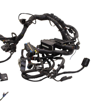 2010 - 2014 BMW S1000RR HP4 MAIN WIRING HARNESS WIRE LOOM ELECTRICAL STOCK
