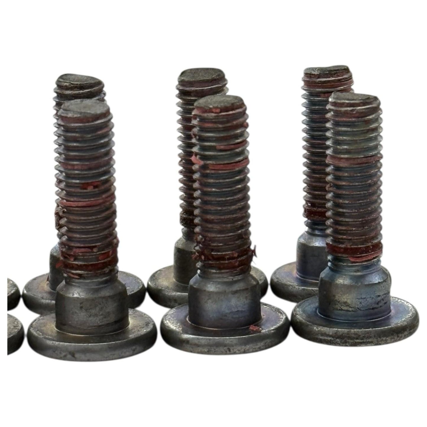 1998 - 2019 KAWASAKI NINJA ZX6R FRONT BRAKE ROTOR BOLTS HARDWARE SILVER STOCK