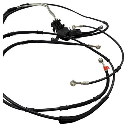 2017 - 2019 DUCATI MONSTER 1200 R ABS HOSE SET FRONT REAR BACK LINES HOSES OEM