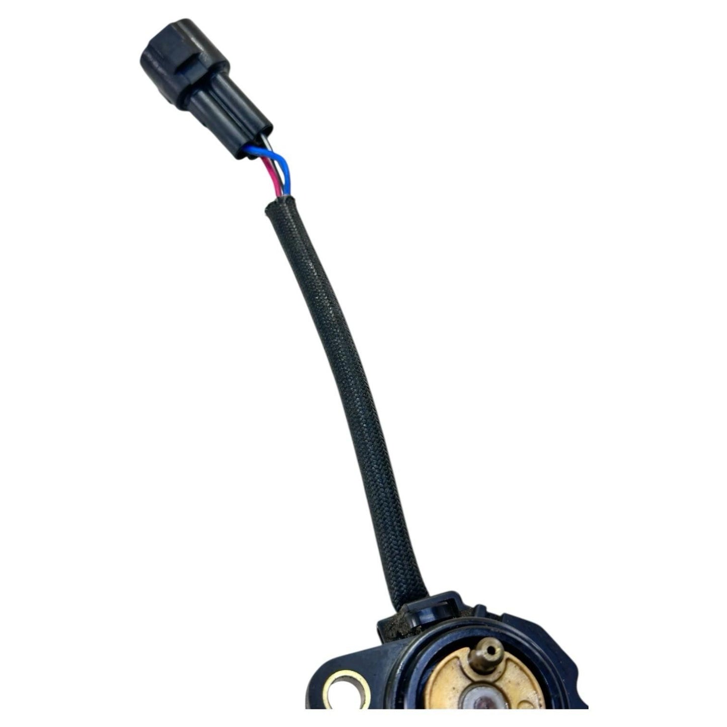 2006 - 2008 TRIUMPH DAYTONA 675 NEUTRAL POSITION SENSOR SWITCH HARDWARE BOLTS