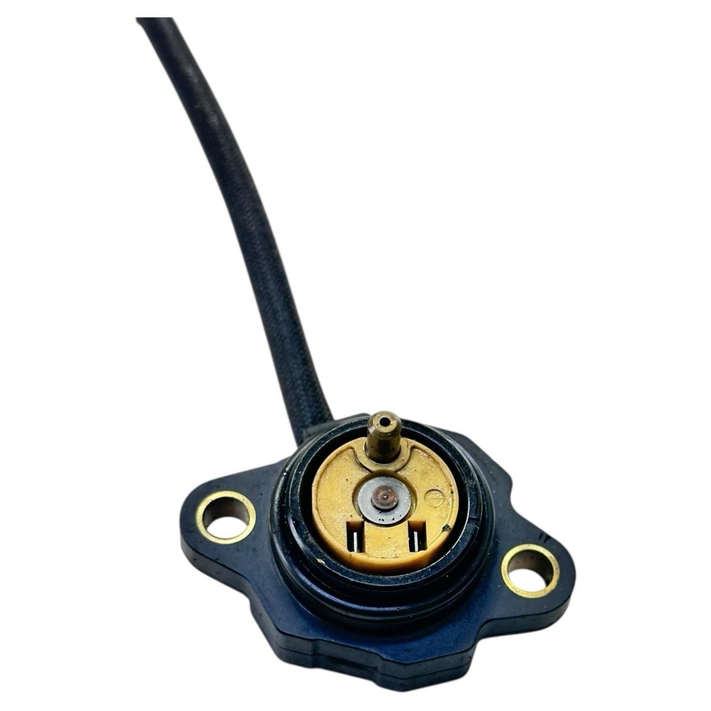 2006 - 2008 TRIUMPH DAYTONA 675 NEUTRAL POSITION SENSOR SWITCH HARDWARE BOLTS