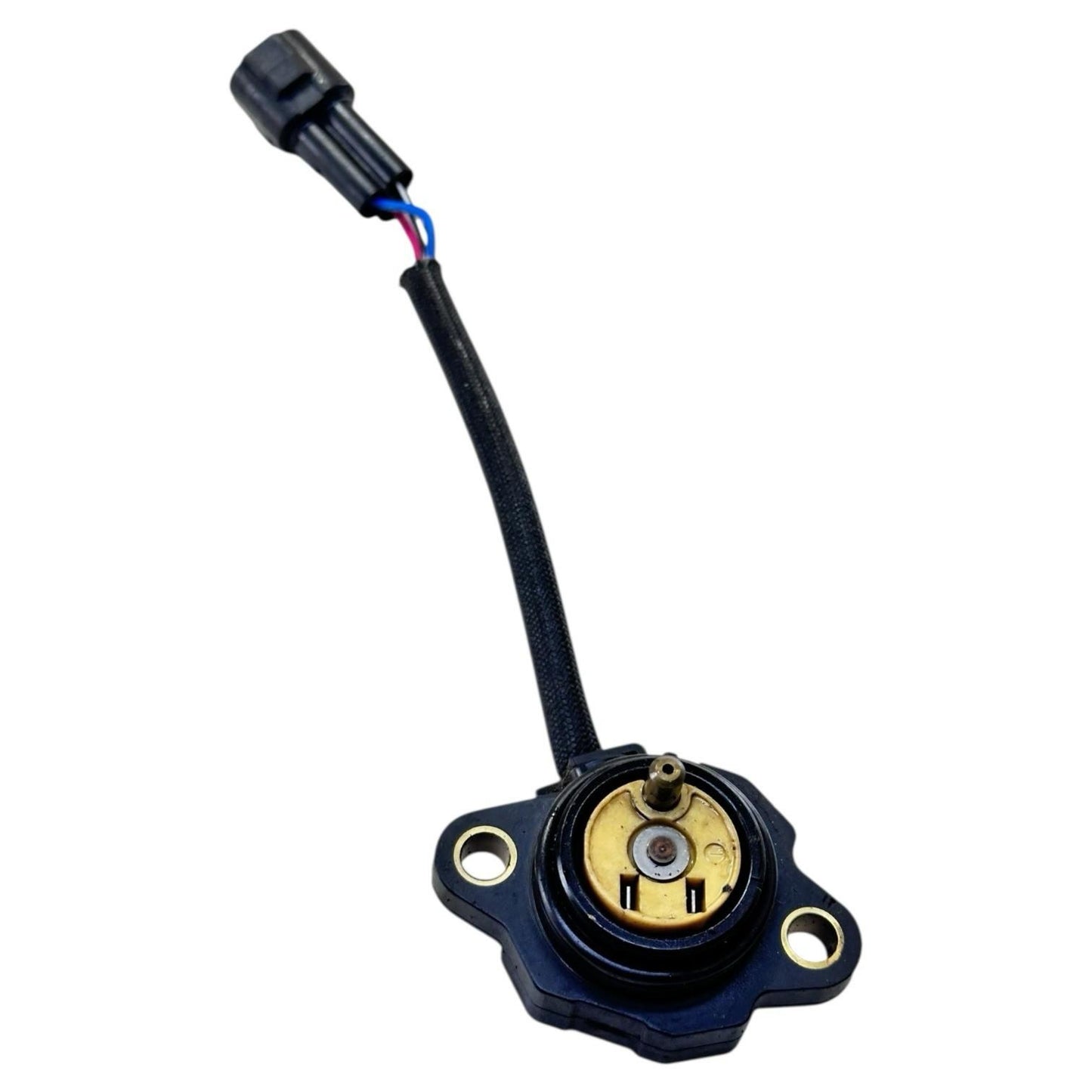 2006 - 2008 TRIUMPH DAYTONA 675 NEUTRAL POSITION SENSOR SWITCH HARDWARE BOLTS