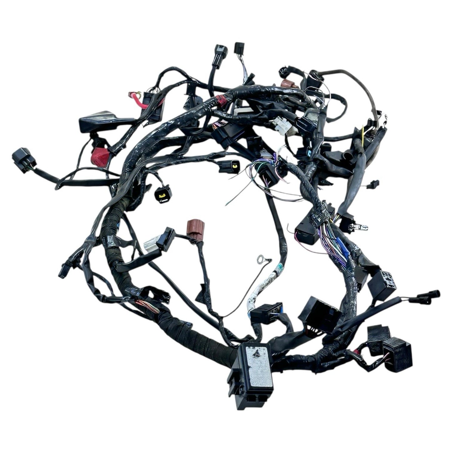 2006 - 2008 TRIUMPH DAYTONA 675 MAIN WIRING HARNESS ENGINE MOTOR WIRE LOOM *CUT*