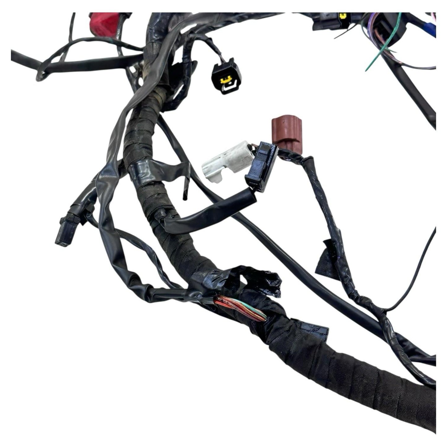 2006 - 2008 TRIUMPH DAYTONA 675 MAIN WIRING HARNESS ENGINE MOTOR WIRE LOOM *CUT*