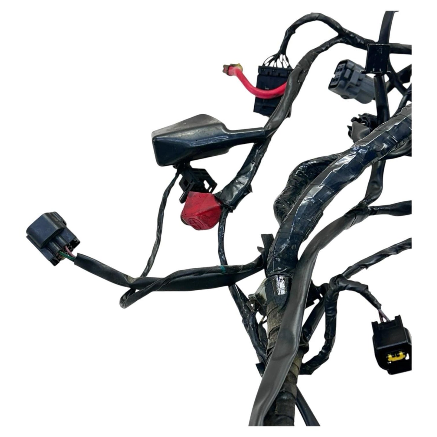 2006 - 2008 TRIUMPH DAYTONA 675 MAIN WIRING HARNESS ENGINE MOTOR WIRE LOOM *CUT*