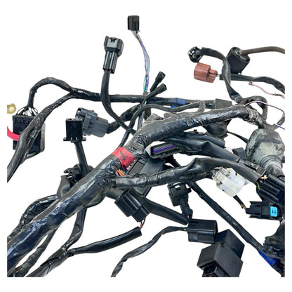2006 - 2008 TRIUMPH DAYTONA 675 MAIN WIRING HARNESS ENGINE MOTOR WIRE LOOM *CUT*