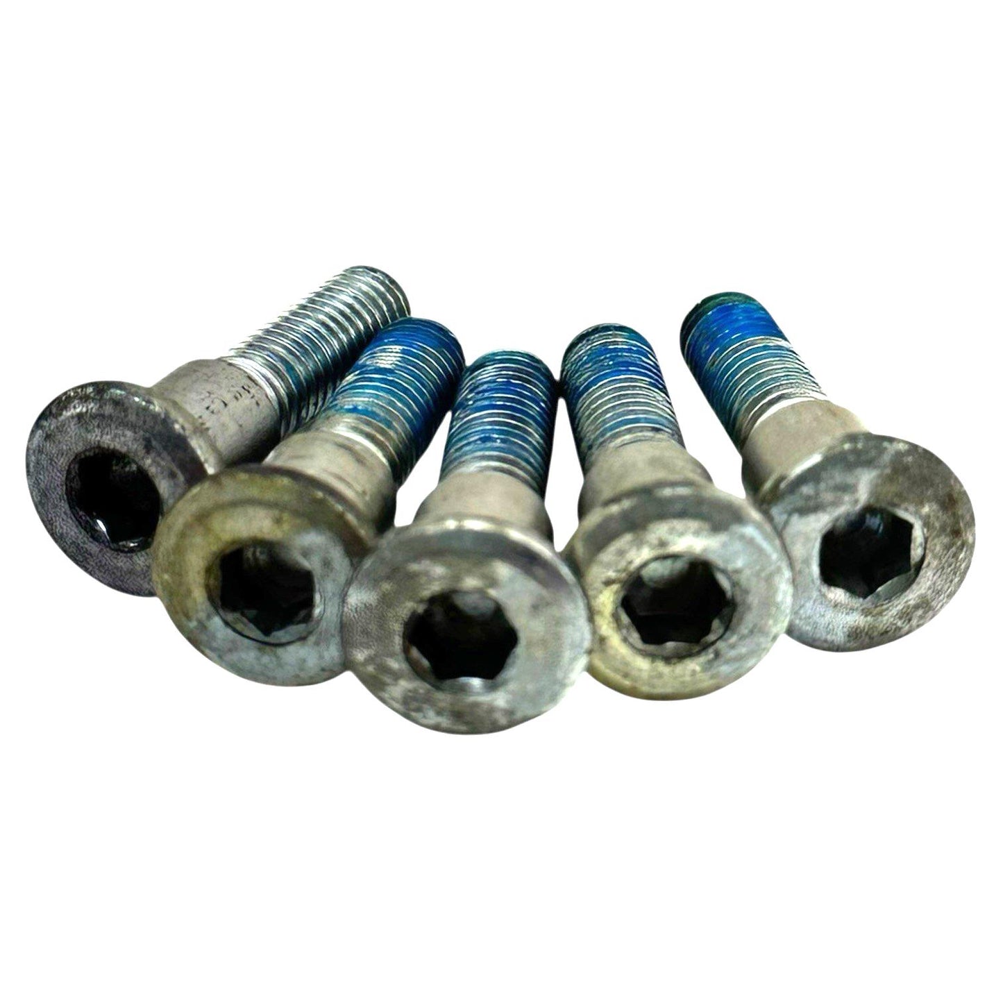 1999 - 2007 SUZUKI HAYABUSA REAR BRAKE ROTOR BOLTS DISC HARDWARE SCREWS SET