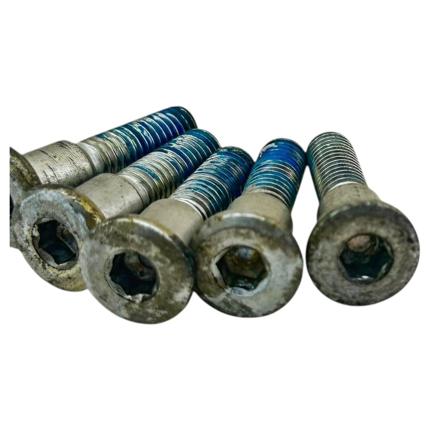 1999 - 2007 SUZUKI HAYABUSA REAR BRAKE ROTOR BOLTS DISC HARDWARE SCREWS SET