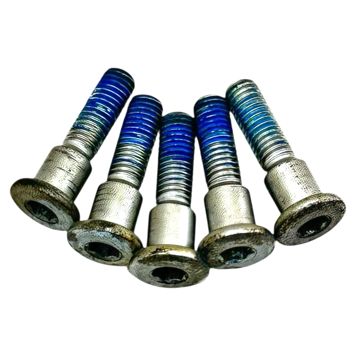 1999 - 2007 SUZUKI HAYABUSA REAR BRAKE ROTOR BOLTS DISC HARDWARE SCREWS SET