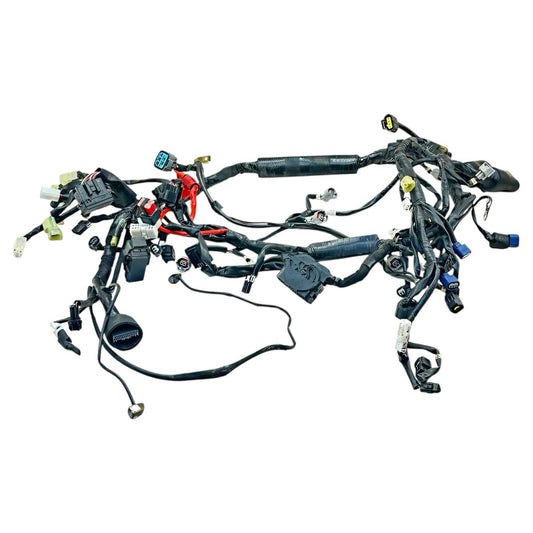 2015 - 2019 YAMAHA YZF R1 MAIN WIRING HARNES ENGINE MOTOR WIRE LOOM ELECTRICAL