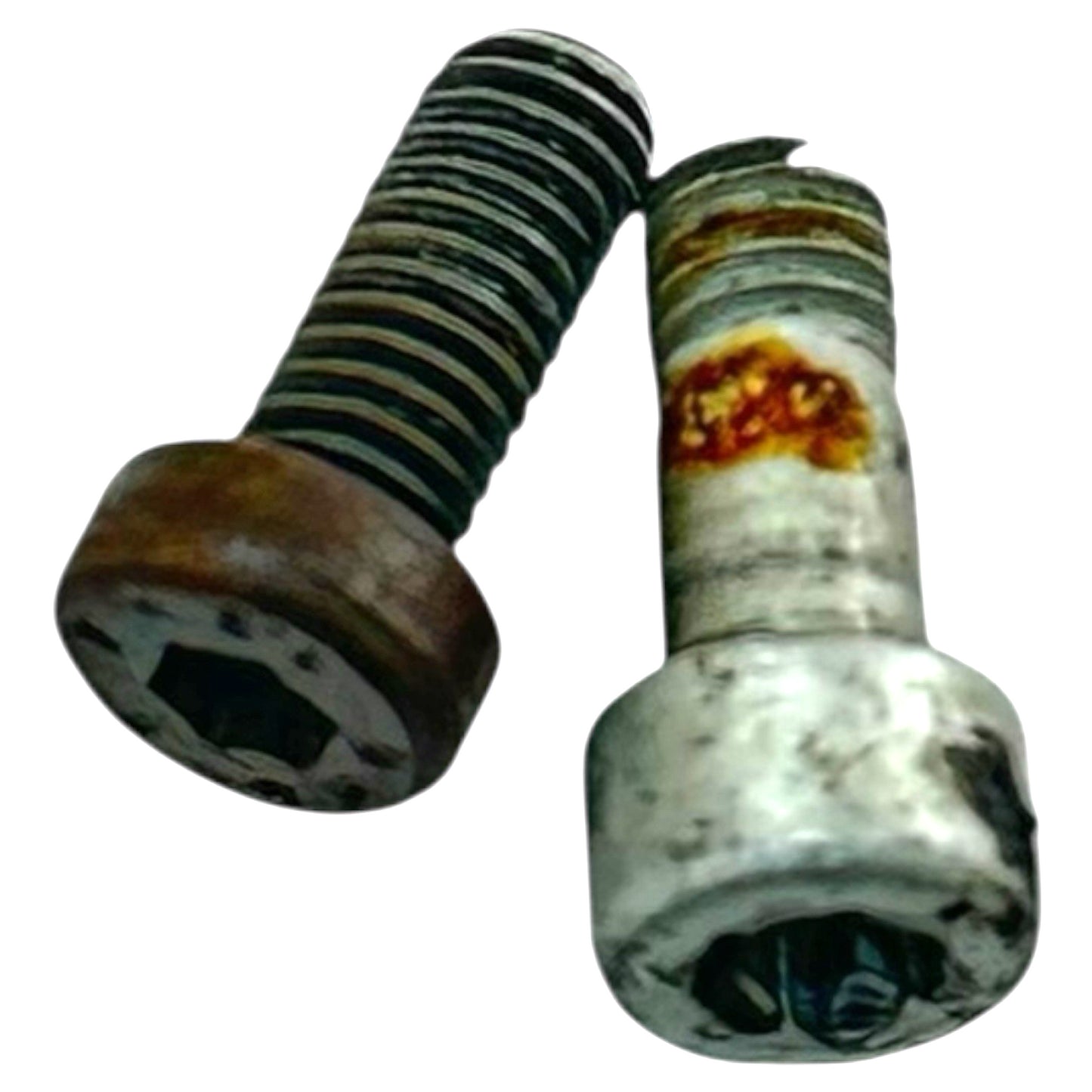 2015 2016 APRILIA RSV4 WATER PUMP COVER ASSY BOLTS STOCK OEM